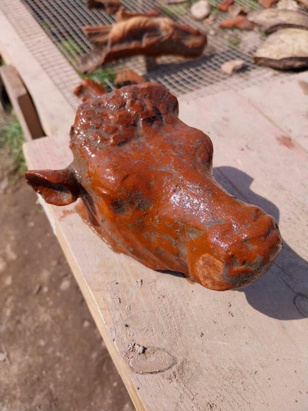 The excavations of the sanctuary in the ancient city of Paestum, Italy have unearthed seven terracotta bull heads. Photo: Paestum Velia Archaeological Park via AP