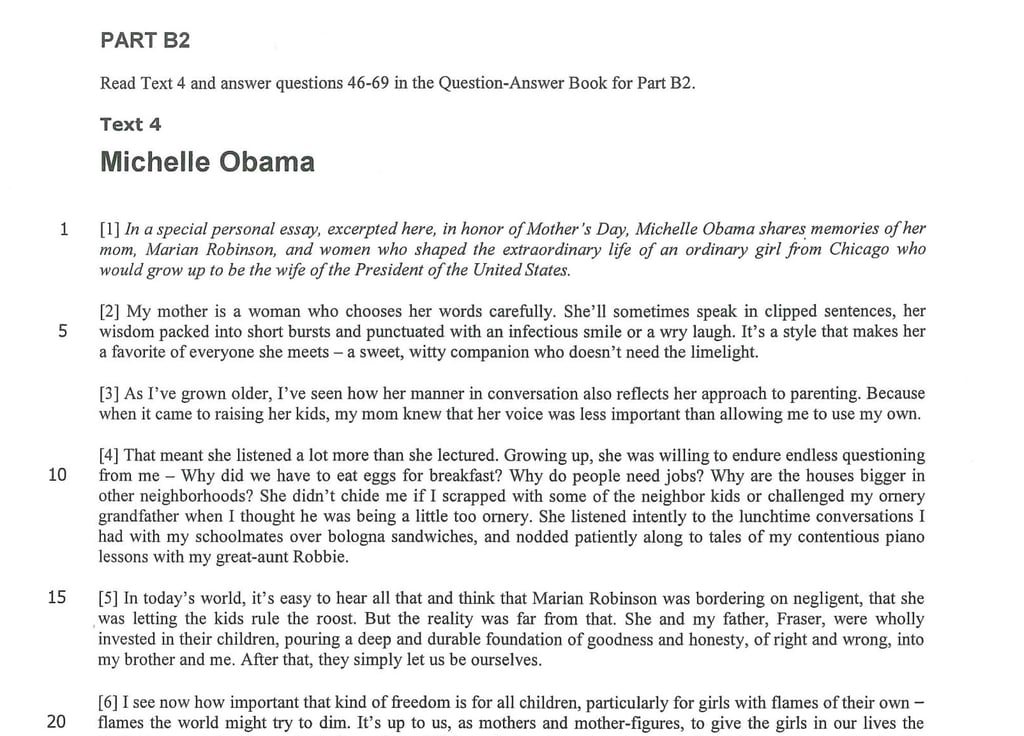 michelle obama dse essay