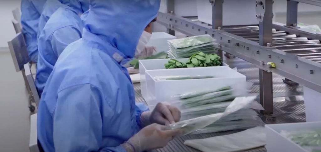 Workers at a Smart Glove factory in Malaysia will benefit from the company’s remediation measures. Photo: YouTube Workers at a Smart Glove factory in Malaysia will benefit from the company’s remediation measures. Photo: YouTube