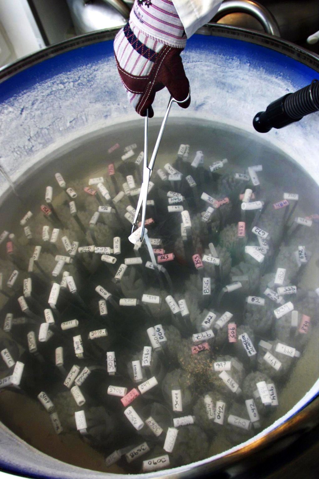 Frozen semen is kept in a tank at the Cryos sperm bank in Denmark in August 2002. Photo: AFP Frozen semen is kept in a tank at the Cryos sperm bank in Denmark in August 2002. Photo: AFP