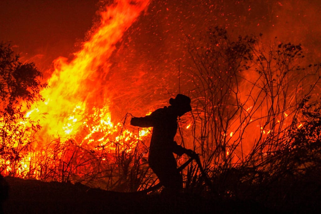 A firefighter extinguishes a fire in a forest in Indonesia’s South Sumatra province. Photo: AFP