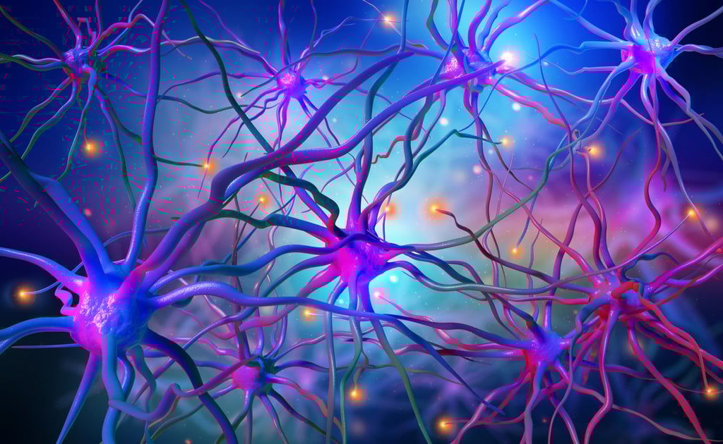 If HRT is started after the age of 65, brain cells will have already been deprived of oestrogen for many years. This could mean there is a decline in neuronal connections – the brain’s messaging system. Photo: Shutterstock