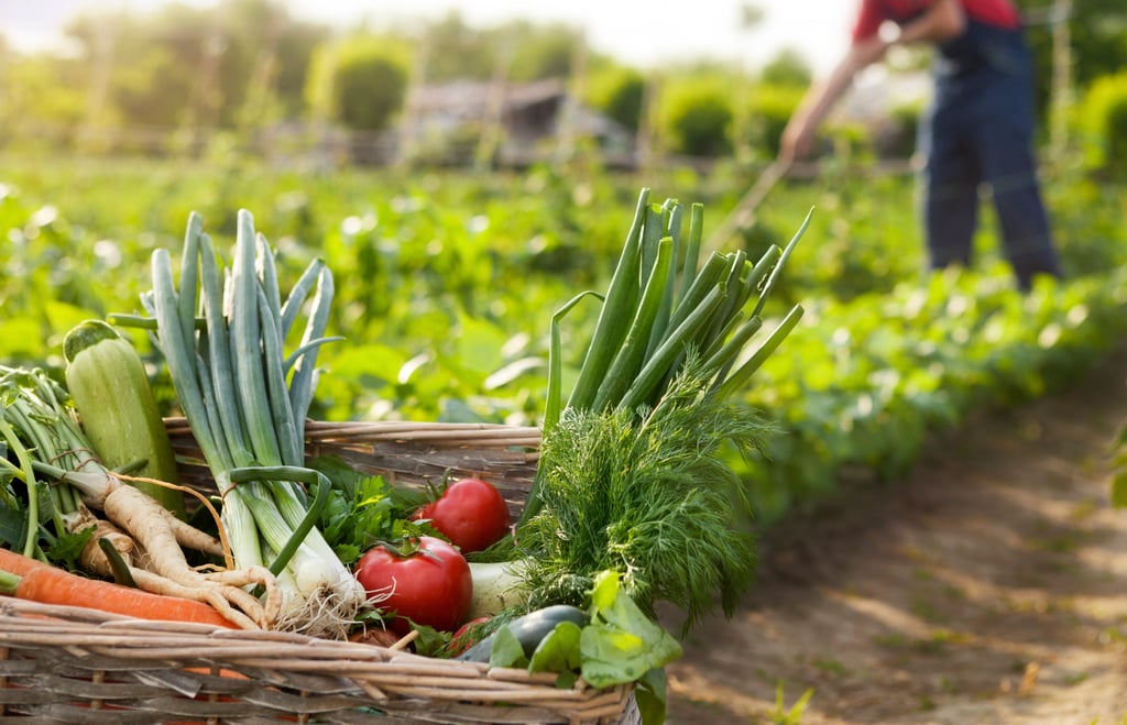 Upscale restaurants often wax lyrical about organic vegetables, but sustainability is the purview of the advantaged, Andrew Sun says. Photo: Shutterstock