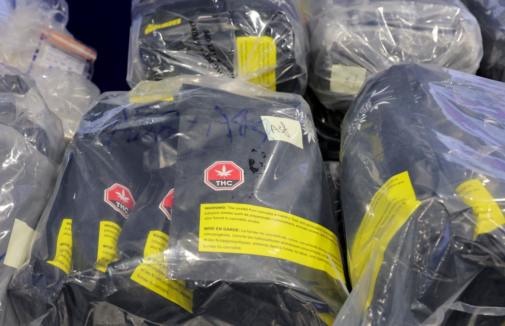 Police found about 91kg of suspected cannabis. Photo: Jelly Tse Police found about 91kg of suspected cannabis. Photo: Jelly Tse