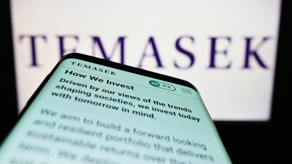 Temasek said last year it had conducted “extensive due diligence” on FTX. Photo: Shutterstock Temasek said last year it had conducted “extensive due diligence” on FTX. Photo: Shutterstock