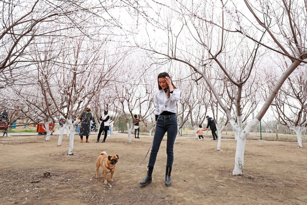 An estimated 117 million pets are kept in urban areas in mainland China. Photo: Shutterstock An estimated 117 million pets are kept in urban areas in mainland China. Photo: Shutterstock