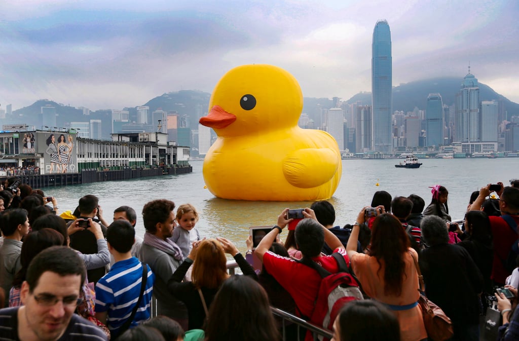 Residents throng Victoria Harbour to take pictures of the original art installation by Florentijn Hofman in 2013. Photo: Sam Tsang