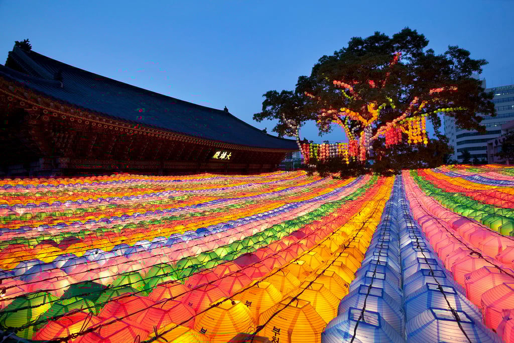 A huge tree thought to be around 500 years old stands outside the hall and is decorated with lanterns during major Buddhist festivals such as the Buddha’s Birthday. Photo: Jogyesa Templestay A huge tree thought to be around 500 years old stands outside the hall and is decorated with lanterns during major Buddhist festivals such as the Buddha’s Birthday. Photo: Jogyesa Templestay