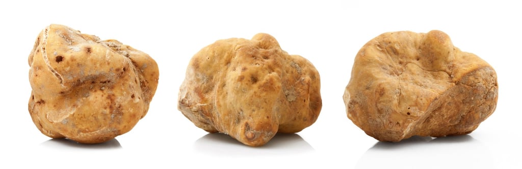 Original Italian white truffles are not only used in the kitchen but in the spa, too. Photo: Shutterstock