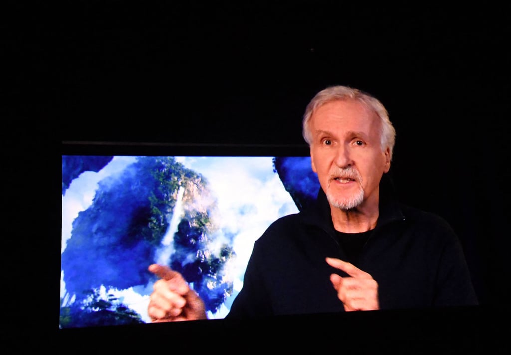 Director James Cameron’s worth has gone up by US$95 million since the release of Avatar: The Way of the Water. Photo: AFP Director James Cameron’s worth has gone up by US$95 million since the release of Avatar: The Way of the Water. Photo: AFP