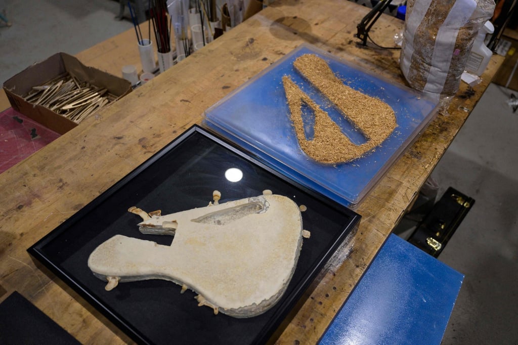 Before-and-after moulds of a mycelium-grown guitar body in Rosenkrantz’s studio. Photo: AFP