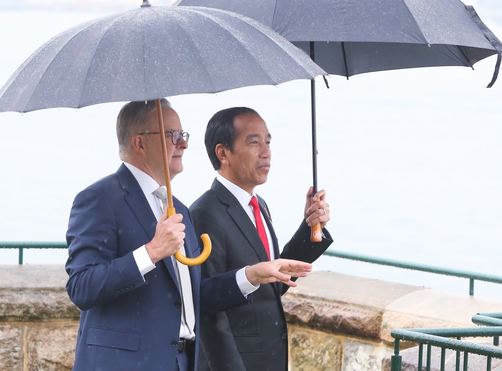 Australian Prime Minister Anthony Albanese (L) and Indonesian President Joko Widodo at Admiralty House in Sydney. Photo: Pool/dpa