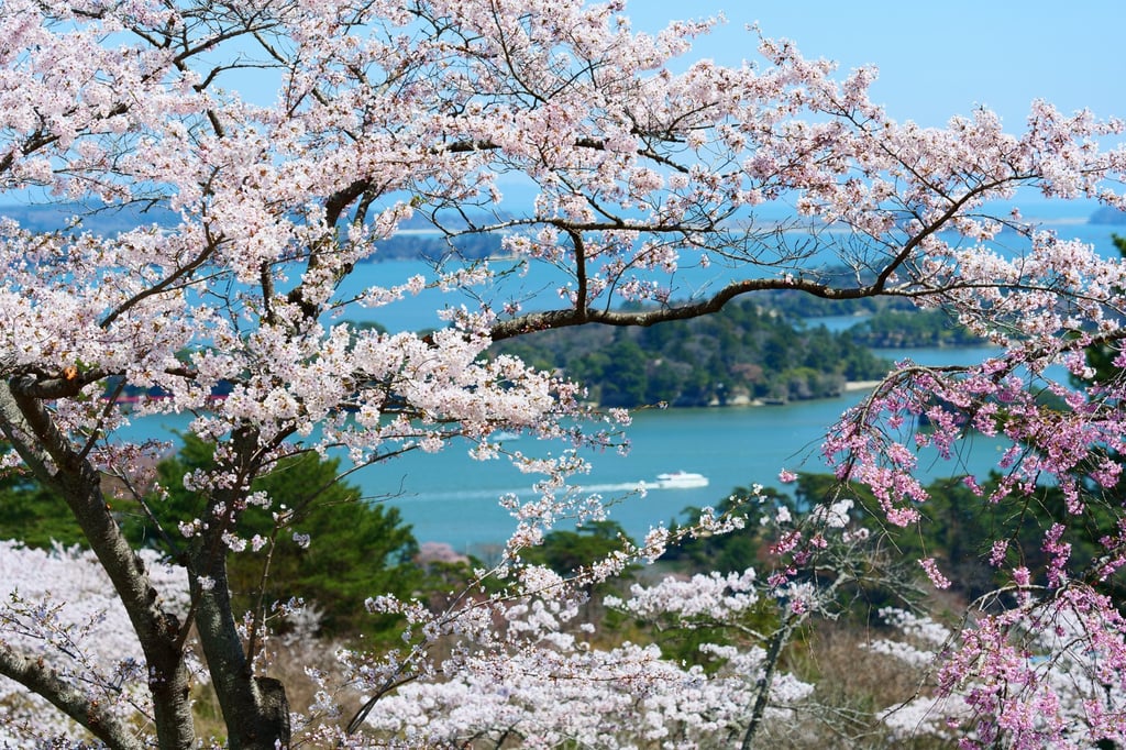 Matsushima, on Tohoku’s Sanriku coast, was hit hard by the 2011 earthquake and tsunami. Photo: Shutterstock