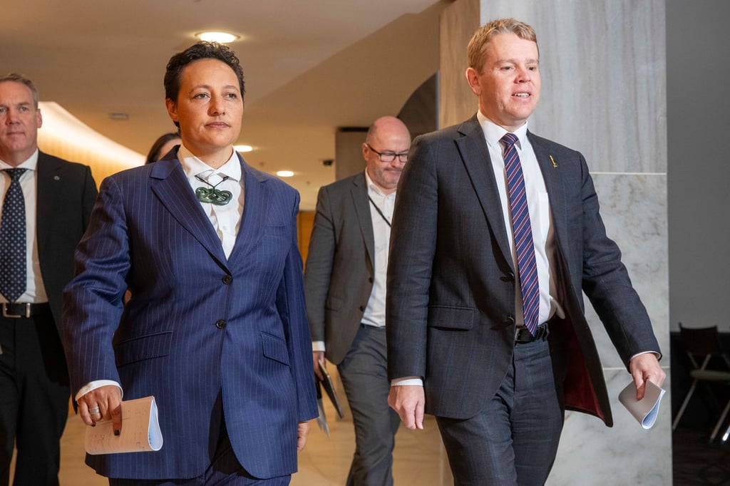 Allan (front left) walks with New Zealand Prime Minister Chris Hipkins (right) at parliament in Wellington on Wednesday last week. Photo: NZ Herald via AP Allan (front left) walks with New Zealand Prime Minister Chris Hipkins (right) at parliament in Wellington on Wednesday last week. Photo: NZ Herald via AP