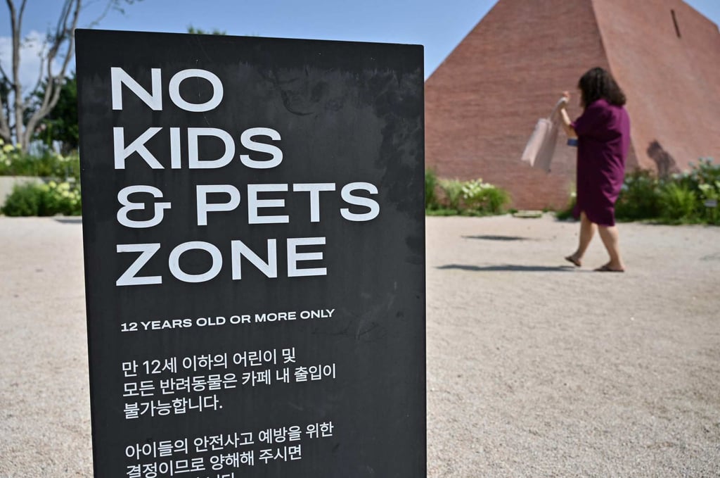 In a country with the world’s lowest birth rate, the emergence of an increasing number of facilities barring children – such as cafes, libraries and art galleries – is infuriating parents like lawmaker Yong Hye-in. Photo: AFP In a country with the world’s lowest birth rate, the emergence of an increasing number of facilities barring children – such as cafes, libraries and art galleries – is infuriating parents like lawmaker Yong Hye-in. Photo: AFP