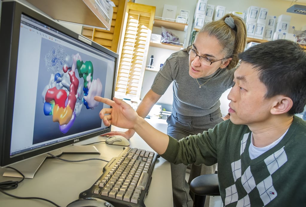 The pioneering research of Eva Nogales (left) into gene transcription and the visualisation of what happens to atoms inside cells has seen her working with people focused on genetic diseases.