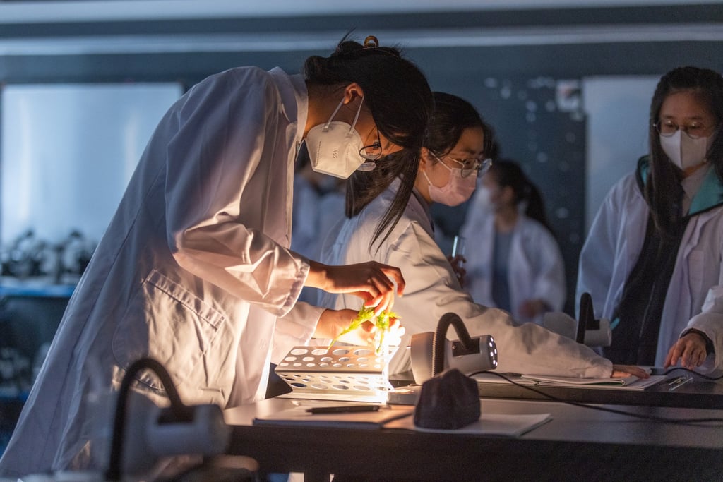 Nord Anglia International School, Hong Kong’s academic approach offers students a wide range of different subjects, including science at secondary school, where they can curate, and even change their choices themselves.