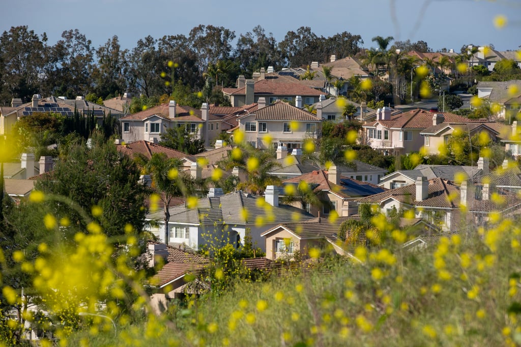 A suburban neighbourhood in Irvine, California, where Michael settled after moving to the US. Photo: Getty Images