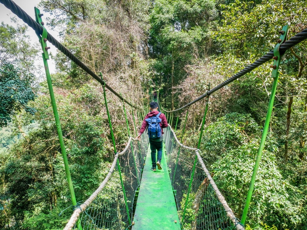 A canopy trail in Bukit Lawang Orangutan Viewing Centre, in Sumatra. Photo: Shutterstock A canopy trail in Bukit Lawang Orangutan Viewing Centre, in Sumatra. Photo: Shutterstock