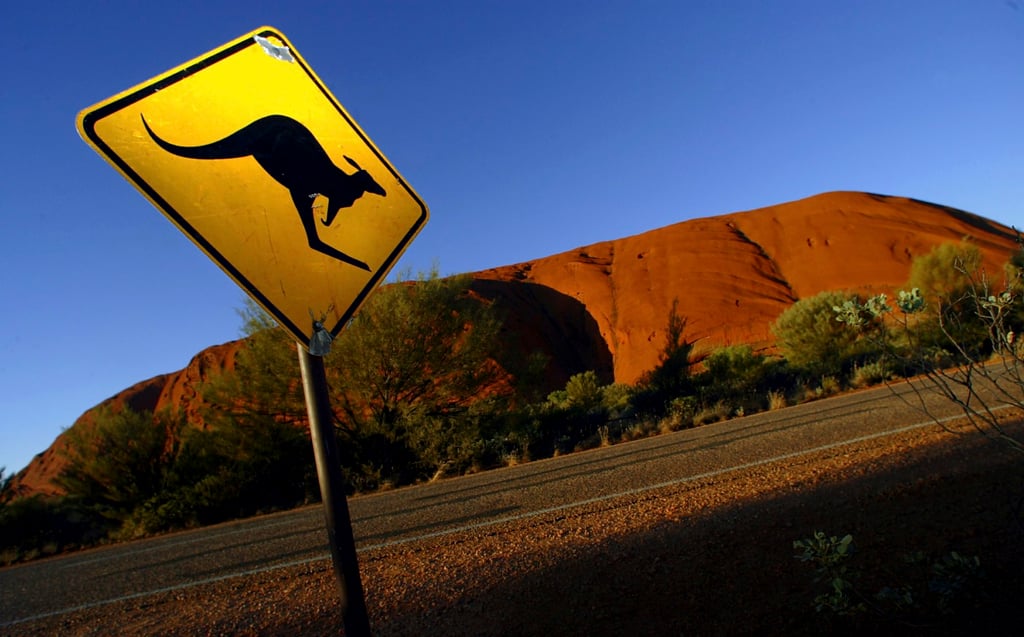 A road sign near Uluru warns drivers of the dangers of kangaroos crossing the road. Kangaroos are killed regularly in Australia, despite being the national symbol. Photo: Reuters A road sign near Uluru warns drivers of the dangers of kangaroos crossing the road. Kangaroos are killed regularly in Australia, despite being the national symbol. Photo: Reuters