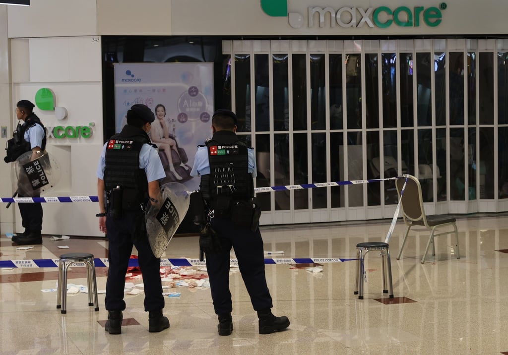 Two women were stabbed to death in a Hong Kong shopping centre in early June. Photo: Yik Yeung-man