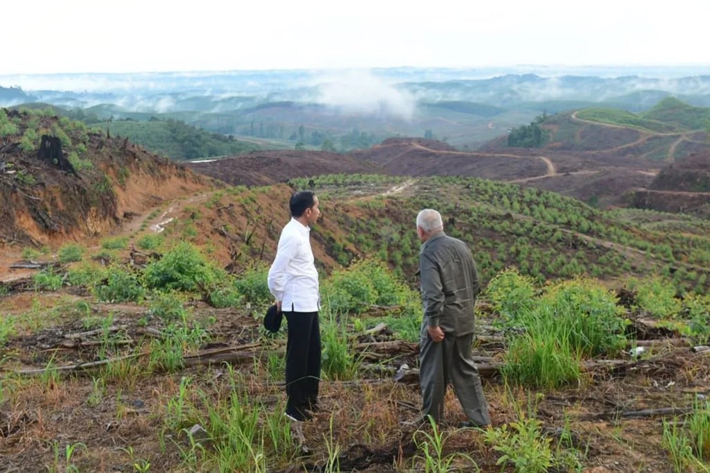 In an undated photograph, Indonesian President Joko Widodo, alongside Governor of East Kalimantan Isran Noor, visit the site of Nusantara. Photo: President of the Republic of Indonesia In an undated photograph, Indonesian President Joko Widodo, alongside Governor of East Kalimantan Isran Noor, visit the site of Nusantara. Photo: President of the Republic of Indonesia
