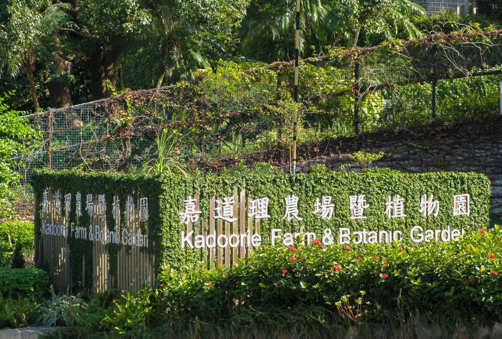 Hongkongers urged to report sightings of missing 1.5-metre monitor