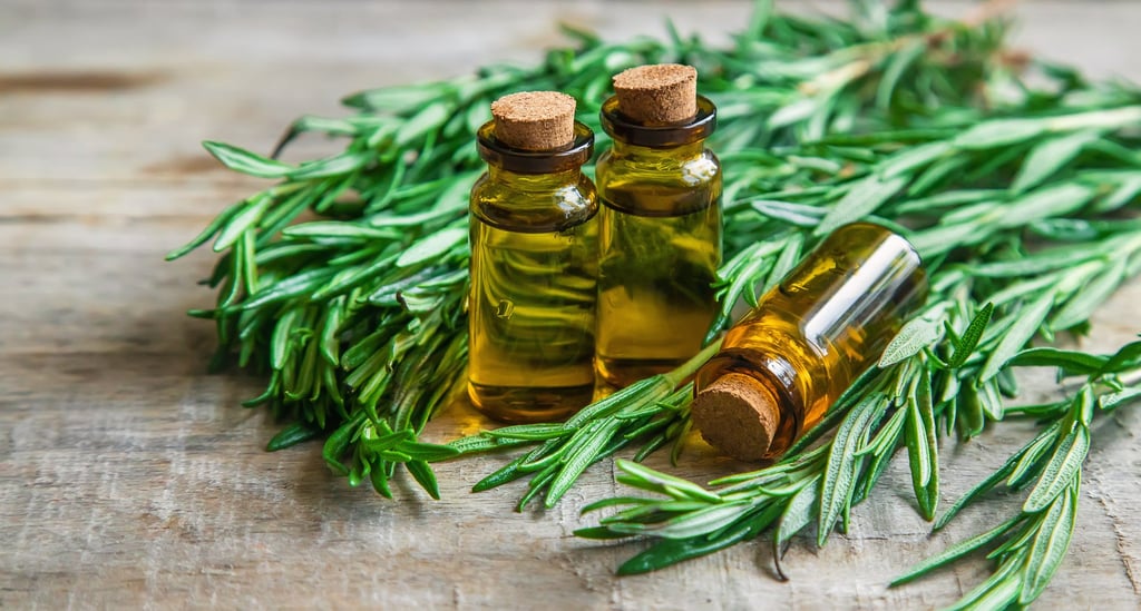 Rosemary oil can protect the scalp from environmental stressors. Photo: Getty Images Rosemary oil can protect the scalp from environmental stressors. Photo: Getty Images