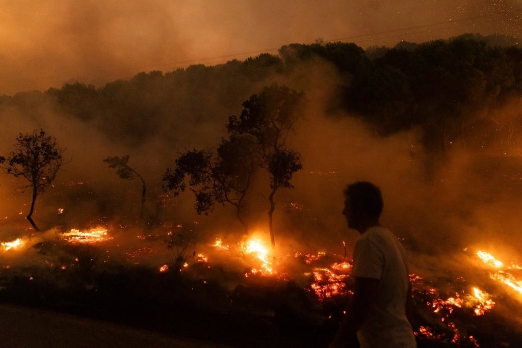 A forest burns, in the village of Dikela, near Alexandroupolis town, in the northeastern Evros region, of Greece. Photo: AP