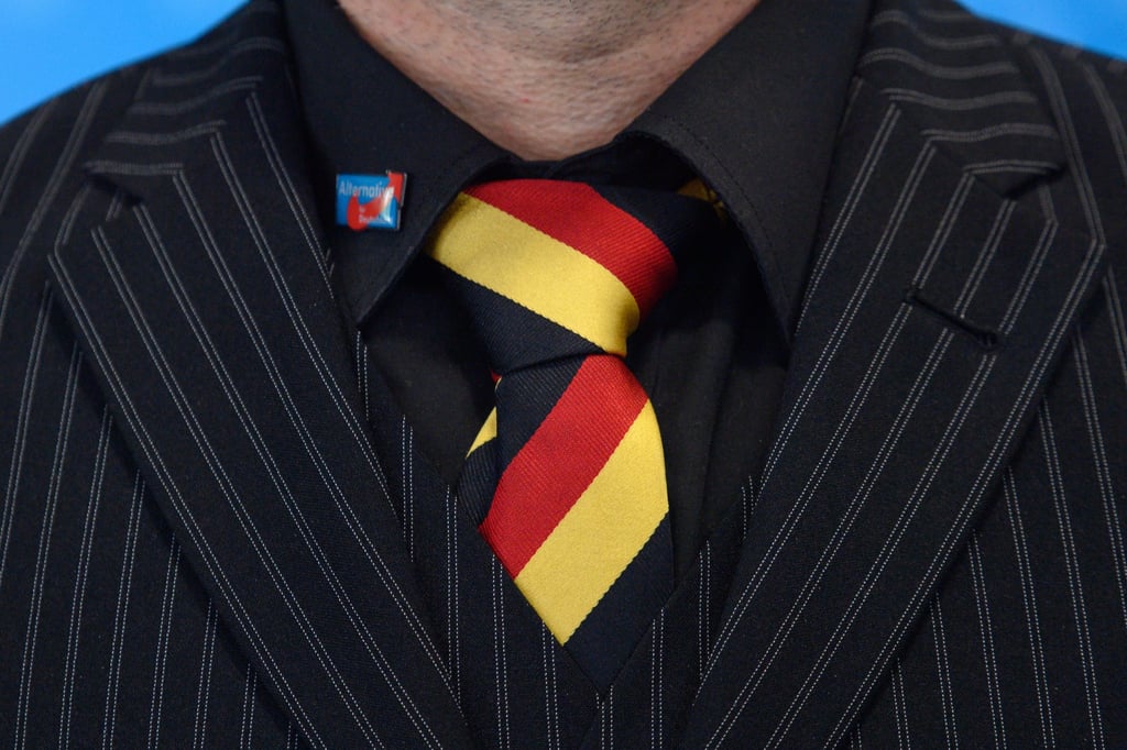 A delegate from the Alternative for Germany attends the party’s European election meeting on August 6. Photo: dpa