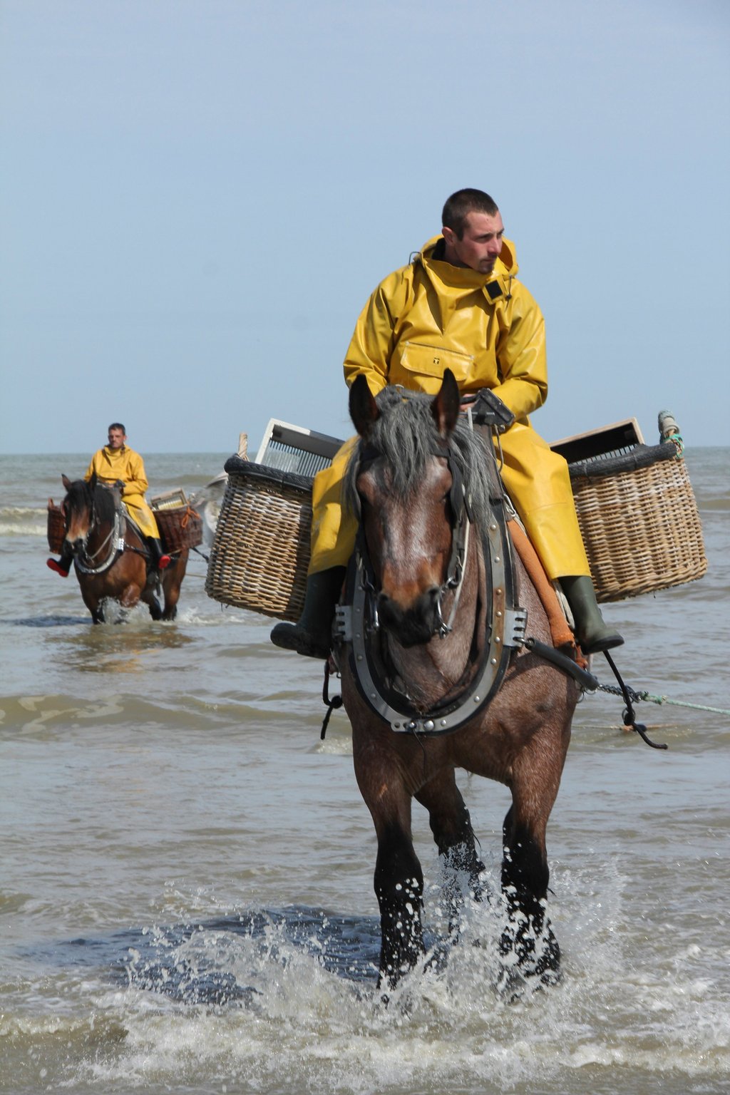The shrimp fishermen drag the shallow waters for around two hours, just before and after low tide. Photo: John Brunton