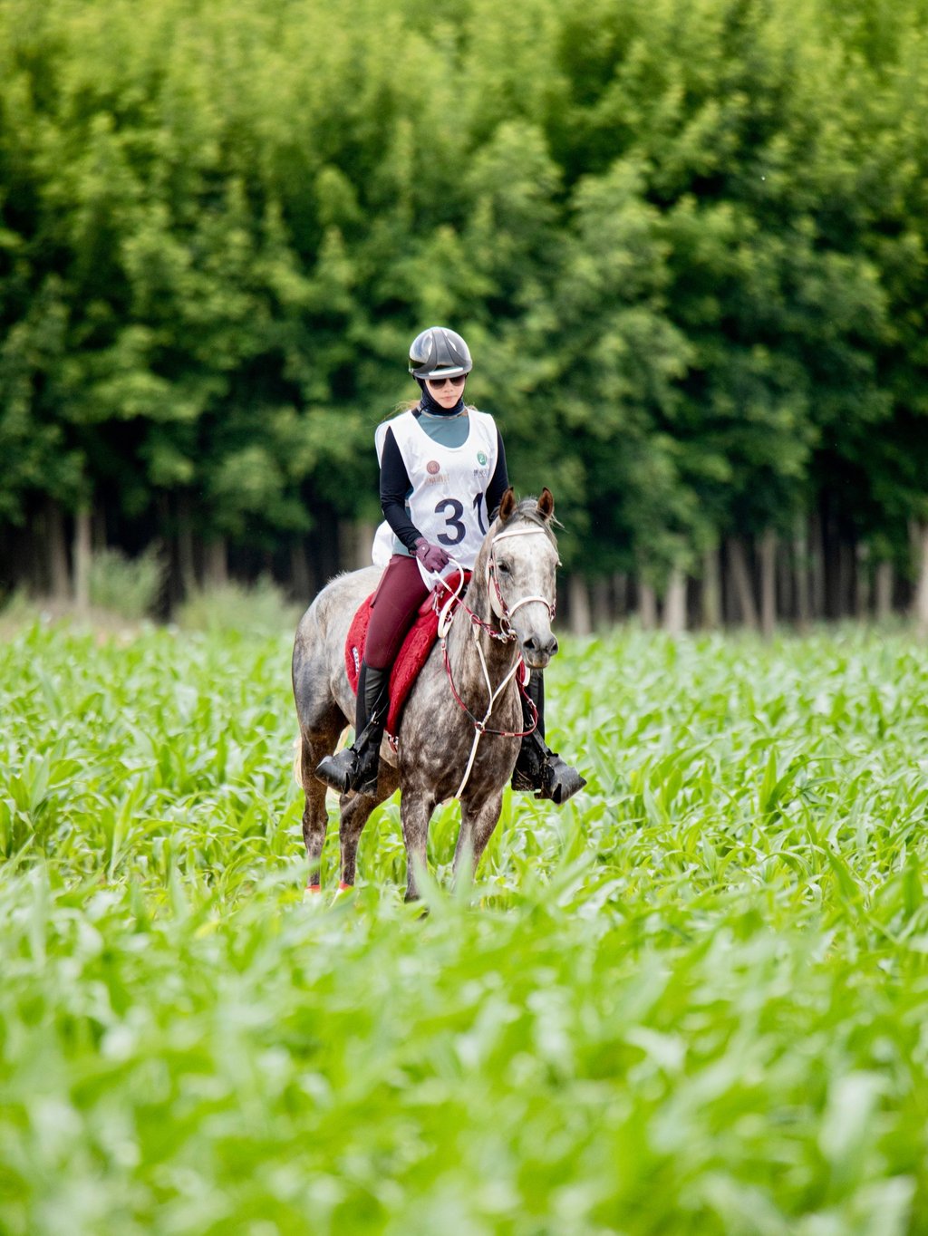 Hong Kong native BoBo Poon is an equestrian. Photo: Handout