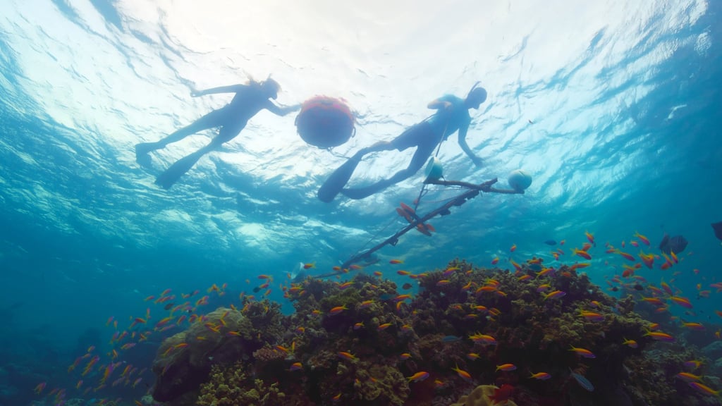 Scientists listen to a Maldivian reef in “Changing Planet II”. Photo: BBC Studios Scientists listen to a Maldivian reef in “Changing Planet II”. Photo: BBC Studios