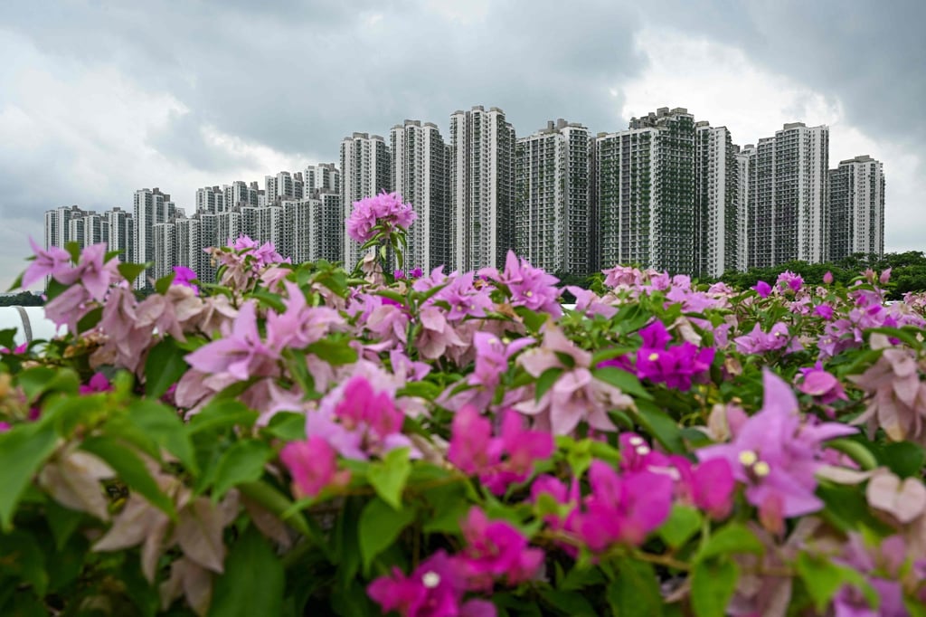 Condominiums at Forest City. Photo: AFP