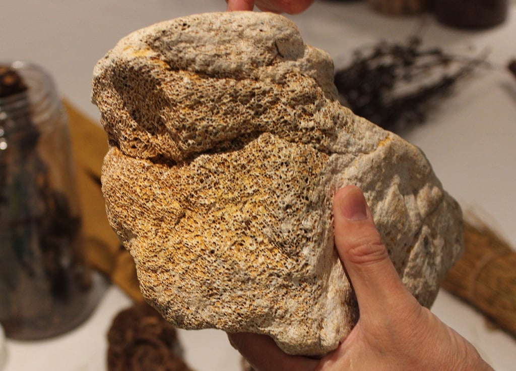 Local law enforcement in some remote parts of China are cracking down on the looting of “dragon bone” fossils. Photo: Wikipedia Local law enforcement in some remote parts of China are cracking down on the looting of “dragon bone” fossils. Photo: Wikipedia