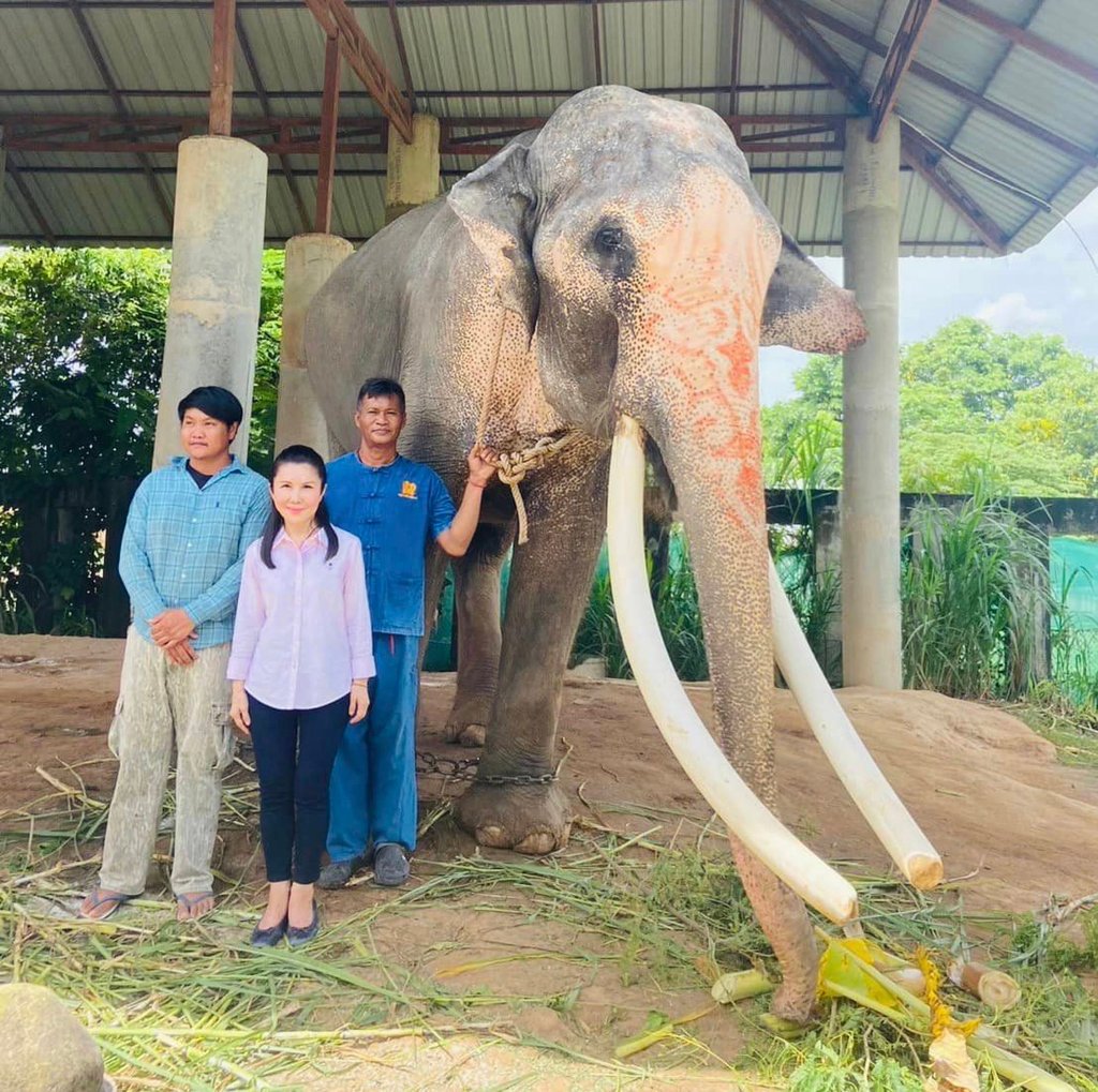 Thai conservationist Kanchana Silpa-archa poses with an elephant in Surin province. Photo: Facebook/nuna.silpaarcha