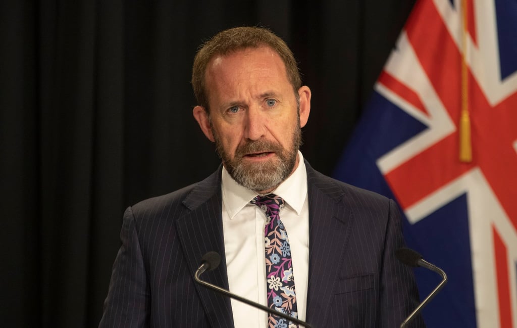 New Zealand Immigration Minister Andrew Little Andrew Little announced additions to the nation’s Immigration Green List. Photo: NZ Herald