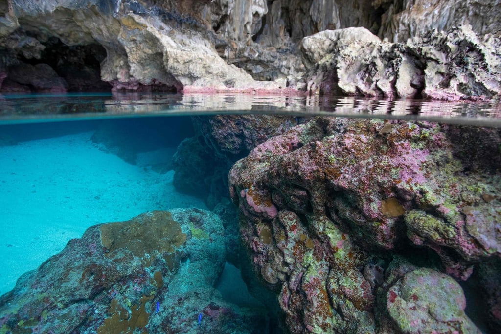 Coral on Niue Island in the South Pacific. The tiny island state is set to join fellow Pacific nations Solomon Islands and Tonga, which both got new US embassies earlier this year. Photo: Conservation International / AFP Coral on Niue Island in the South Pacific. The tiny island state is set to join fellow Pacific nations Solomon Islands and Tonga, which both got new US embassies earlier this year. Photo: Conservation International / AFP