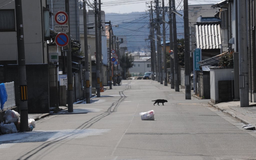 A deserted street is seen in Fukushima city in 2011, about 60km from the nuclear power plant that was badly damaged in that year’s earthquake and tsunami. Photo: Sinopix