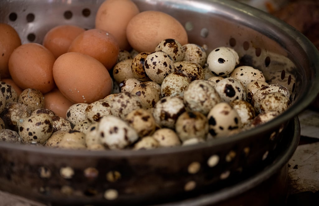 Baked quail eggs are a popular street food in Hong Kong. Photo: Shutterstock Baked quail eggs are a popular street food in Hong Kong. Photo: Shutterstock