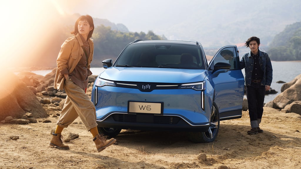 WM Motor’s W6 EV model. “If WM were to close [due to a financial squeeze], I would be forced buy a new [electric] car to replace the W6 because the company’s after-sale services would be suspended,” said a W6 car owner. “More importantly, it would be embarrassing to drive a car built by a failed marque.” Photo: Handout