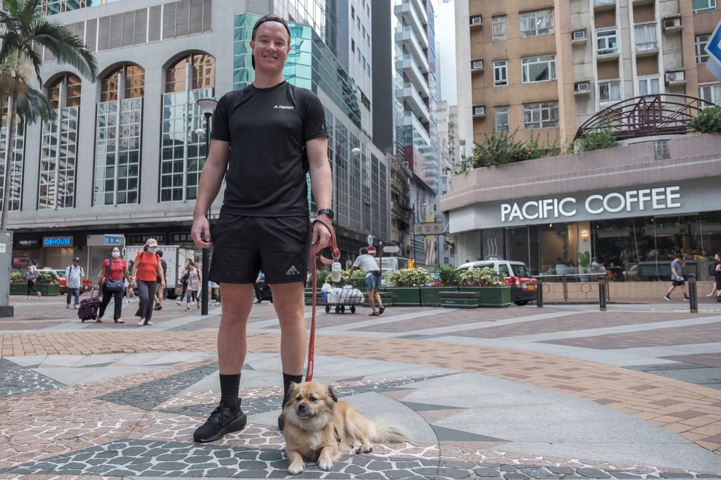 Ali MacDonald says he is “lucky” to have an office that is so welcoming to his seven-year-old dog, Peggy. Photo: Connor Mycroft