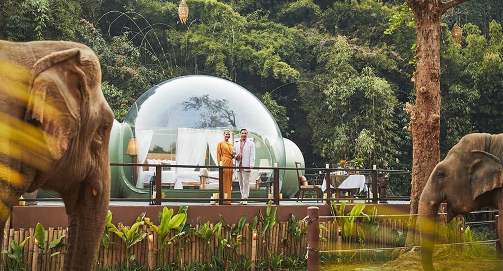 Jungle bubbles of Anantara Golden Triangle in Thailand. Photo: Anantara