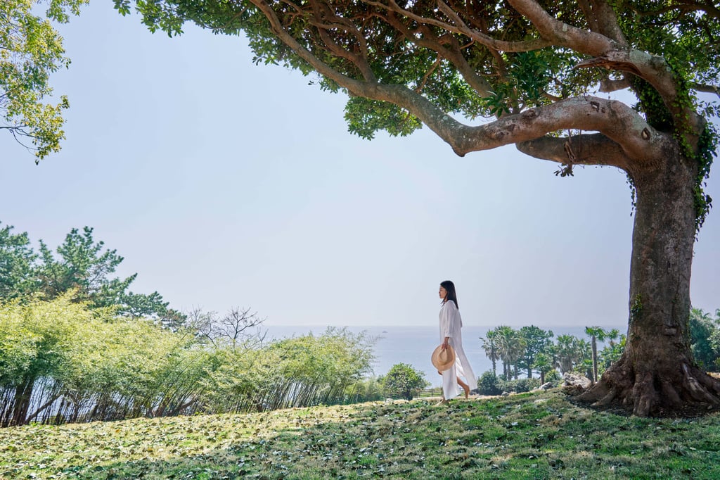 The garden at the JW Marriott Jeju Resort & Spa. Photo: Handout