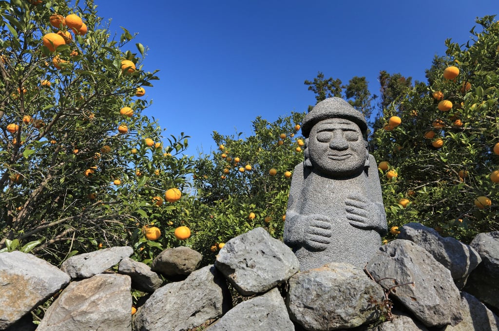 A tangerine orchard with a dol hareubang, a statue of a god offering protection and fertility – both common sights on Jeju island. Photo: Shutterstock