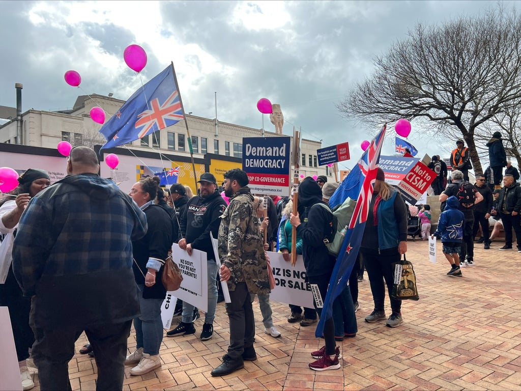 Anti co-governance protesters march on New Zealand’s parliament in Wellington. Photo: Reuters