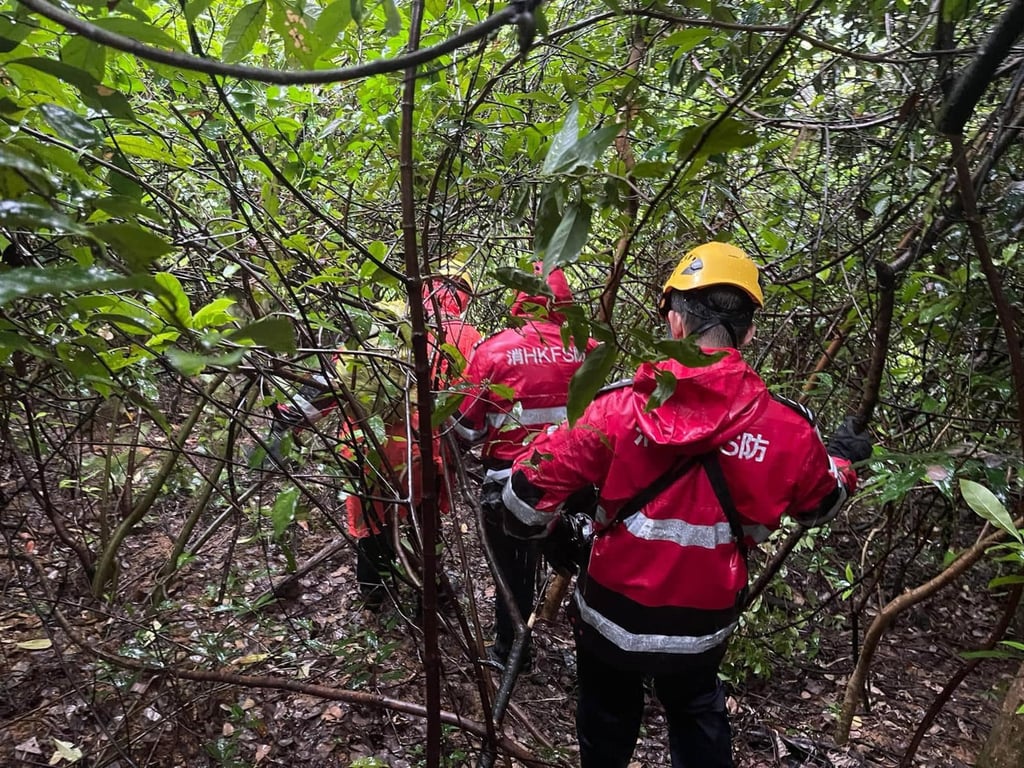 Rescuers scour Ma On Shan Country Park in search of Matthew Tsang on October 11. Photo: Handout