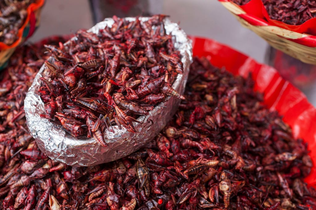 Chapulines, or grasshoppers, at a market in Mexico. Photo: Getty Images Chapulines, or grasshoppers, at a market in Mexico. Photo: Getty Images