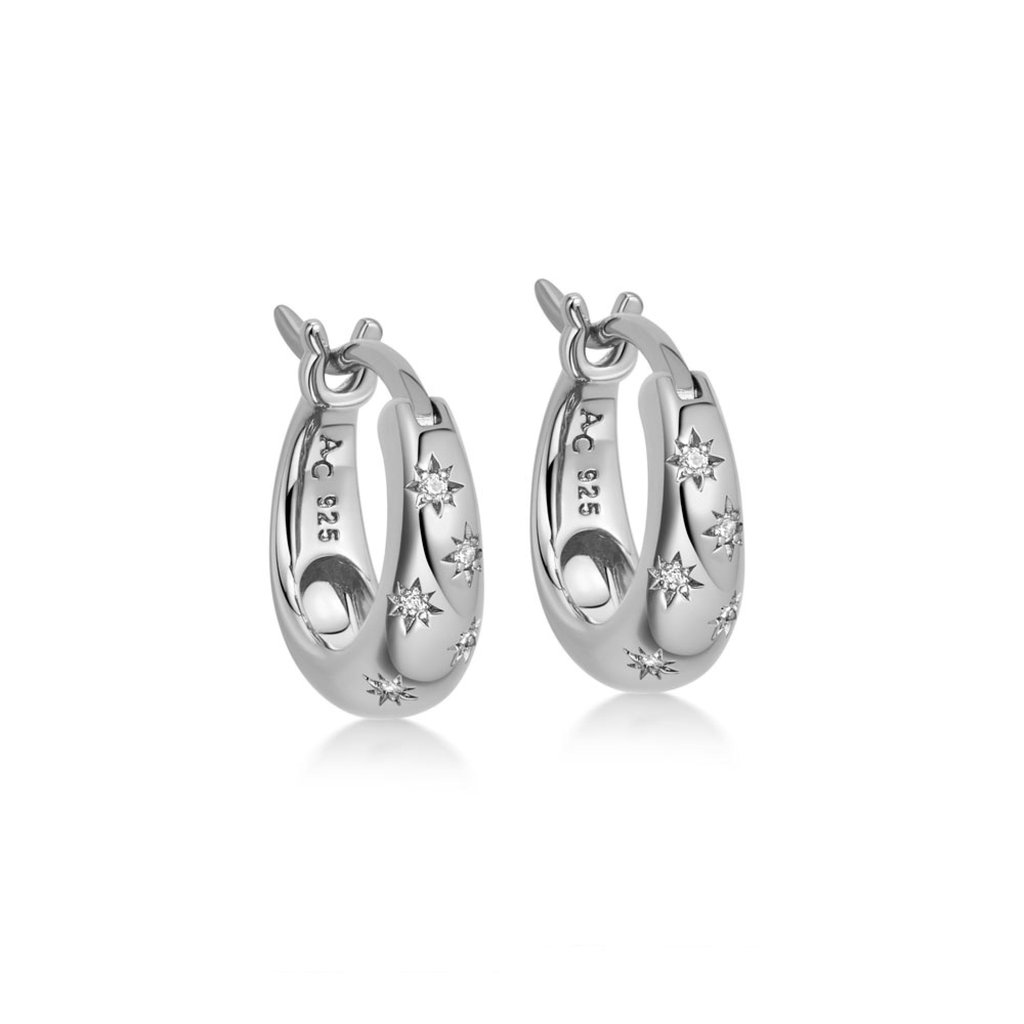 Astley Clarke silver earrings Astley Clarke silver earrings