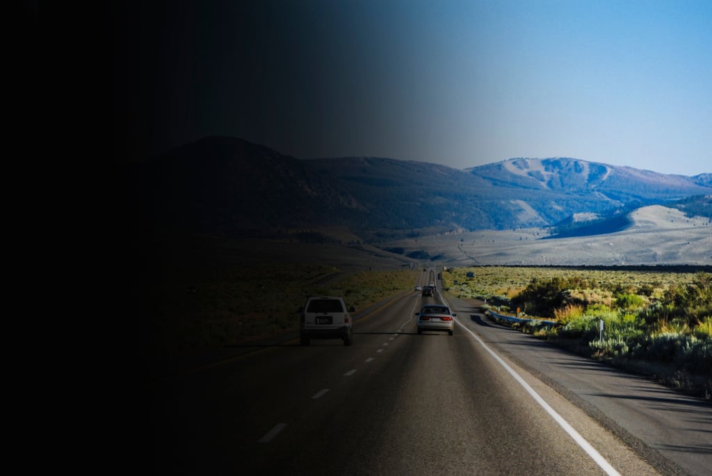 Hemianopia is a condition in which half the field of vision is lost because of damage to the optic nerve in the brain. It is usually caused by stroke or tumour. Photo: Shutterstock